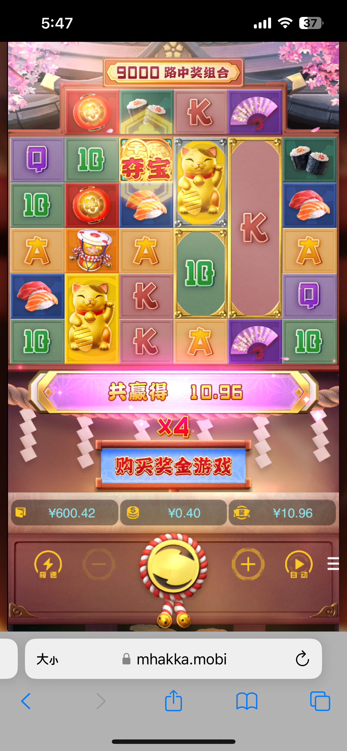 IMG_9231.png
